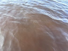 Водата във Варнеското езеро стана с червено-кафяв цвят