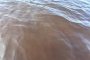 Водата във Варнеското езеро стана с червено-кафяв цвят
