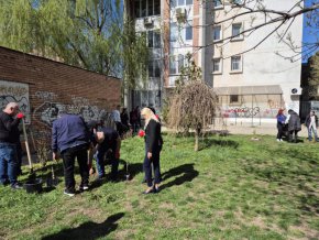  Софинвест със зелен тиймбилдинг: екипът сади люляци и туи, почиства междублоково пространство 