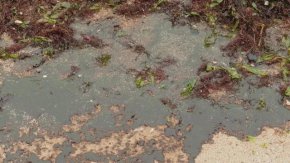 Частично бедствено положение във Варна 