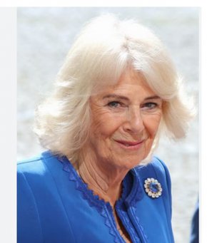  20 млн. лв. е брошката на Камила, дошла със стари дрехи в Рим и получила постна вечеря