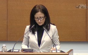 ЦИК да изключи Алфа рисърч от паралелното преброяване на следващите избори: Възраждане