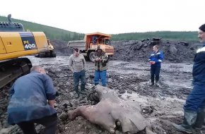 Топенето на ледовете в Арктика може да доведе до появата на смъртоносни „зомби“ вируси и да предизвика нова пандемия