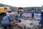 Топенето на ледовете в Арктика може да доведе до появата на смъртоносни „зомби“ вируси и да предизвика нова пандемия