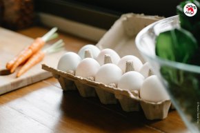  ЧЕТИРИ ЛАПИ със съвети как да празнуваме Великден с любов и състрадание към животните 