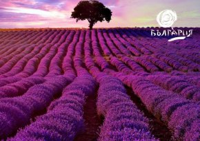 Първите 100 дни на 100%:  Министърът на туризма Мирослав Боршош