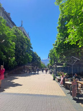 4,5 пъти повече заселили се у нас от "избягалите" през 2024 г.