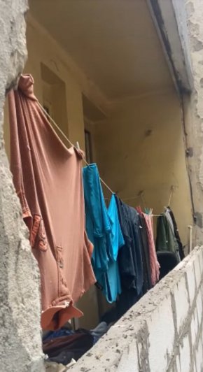  Собственичката на 45-те кучета от апартамента на Орлов мост се мести в Габрово