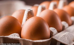 Учените разкриха как да не се счупи нито едно от яйцата ви
