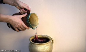 Кое е мястото, където Исус превръща водата във вино? Археолози откриха къде се е случило чудото