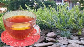 ЕК добави и Странджанския билков чай като защитен продукт 