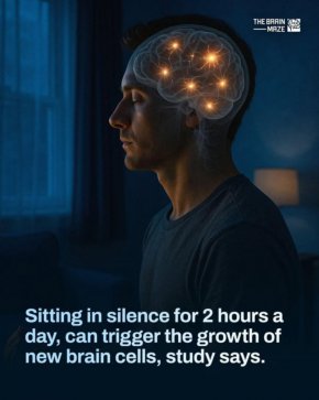   Седенето в тишина стимулира растежа на нови мозъчни клетки: Учените