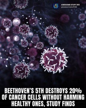  Симфония № 5 на Бетовен унищожава 20 % от раковите клетки: Учените