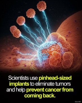  Ново лечение напълно унищожава агресивен рак при мишки за под 6 дни