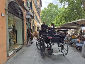  По-добра пица от неаполската и овален площад: Лука е прелест