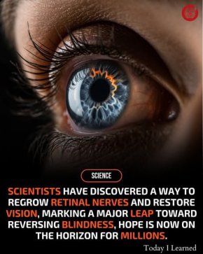 Възстановяват зрение с регенериране на нерви в ретината: Мегапробив     