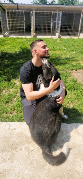  Клиника за бездомни животни благодари на най-младия депутат 