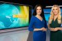 Нови сини птички в bTV