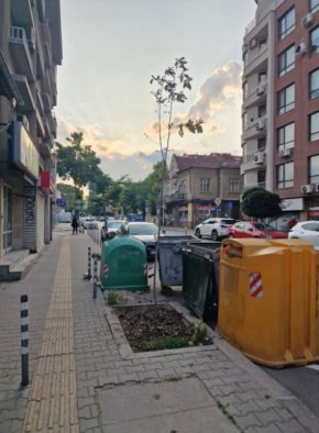 17, а не 52% са зелените площи в София