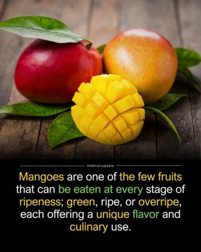 Зелено, зряло, презряло: кулинарният път на мангото