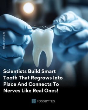   Разработиха нов зъбен имплант с естествената функция на зъба