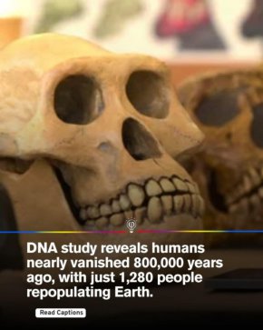   Неотдавнашно ДНК проучване показа критичен момент в човешката еволюционна история