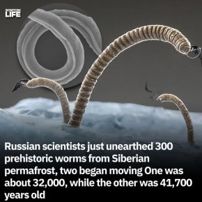 Събудиха се праисторически червеи на +30 000 г.