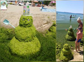 Вместо от пясък, човечета от водорасли в Слънчев Бряг: Фото на деня