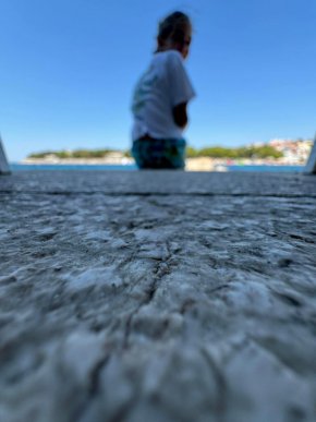    Долна лъжа от Рашков за ареста ми: С.Арнаудова