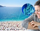 Открити рани и морска вода – риск от опасна бактерия край Турция