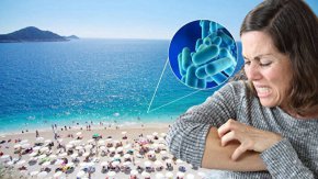 Открити рани и морска вода – риск от опасна бактерия край Турция