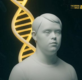 Японски учени премахнаха допълнителната хромозома, причиняваща синдрома на Даун