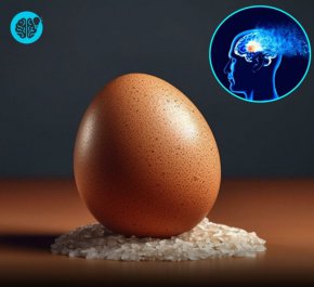   Едно яйце седмично помага за защита на мозъка и намалява риска от Алцхаймер