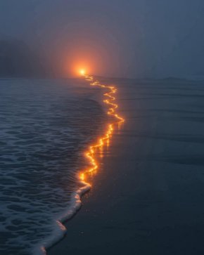 Залезът, заснет от Cannon Beach, Орегон: Фото на деня