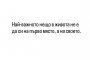 Най-важното нещо в живота е не да си на първо място, а на своето