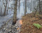 Все още има активни огнища на пожара в Пирин 