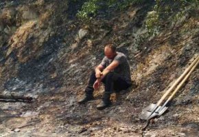 Горите да се залесяват с видове с оглед на пожарния риск: ЮЗДП