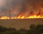 172 пожара са потушени за последното денонощие