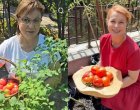 М. Добрева бие по домати К. Нинова (ВИДЕО) 
