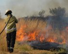 Над 330 от пожарите са умишлени или по невнимание 