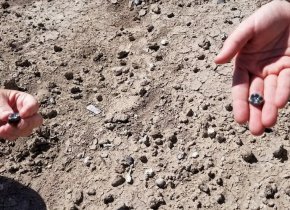 Откриха нов вид човешки прародител в Етиопия