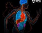 19 органа се трансформират от спортуването и за добро