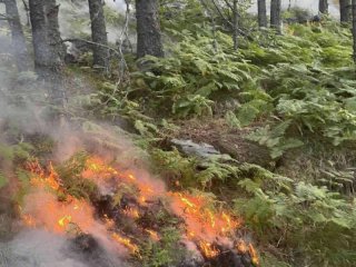 Пожарът в Национален парк Рила се разраства 