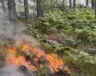 Пожарът в Национален парк Рила се разраства 