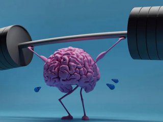 Няма ни в Топ 45 по интелигентност