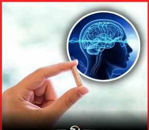 Учени откриха как мозъкът да мисли по-бързо и по-ясно