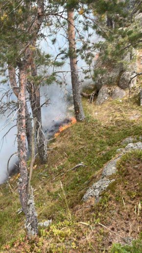 Атакуват от две страни огнищата на пожара в Рила 