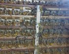 Откриха ферма за криптовалута в сградата на общината в Горна Оряховица 