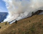 Пожарът в природен парк Рилски манастир се разраства – горят над 700 декара