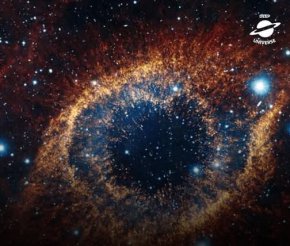 Тялото ни съдържа около 7 октилиона атома – всеки носи история от милиарди години